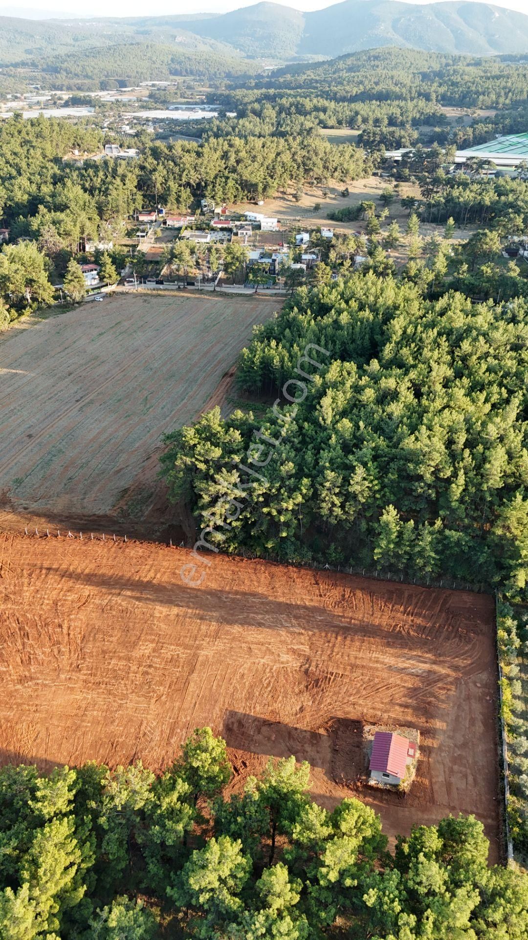 İzmir Ataköy Çamarasında Satılık 210 M2 Elektrik Suyu Olan Harika Bahçeler - Görsel 17