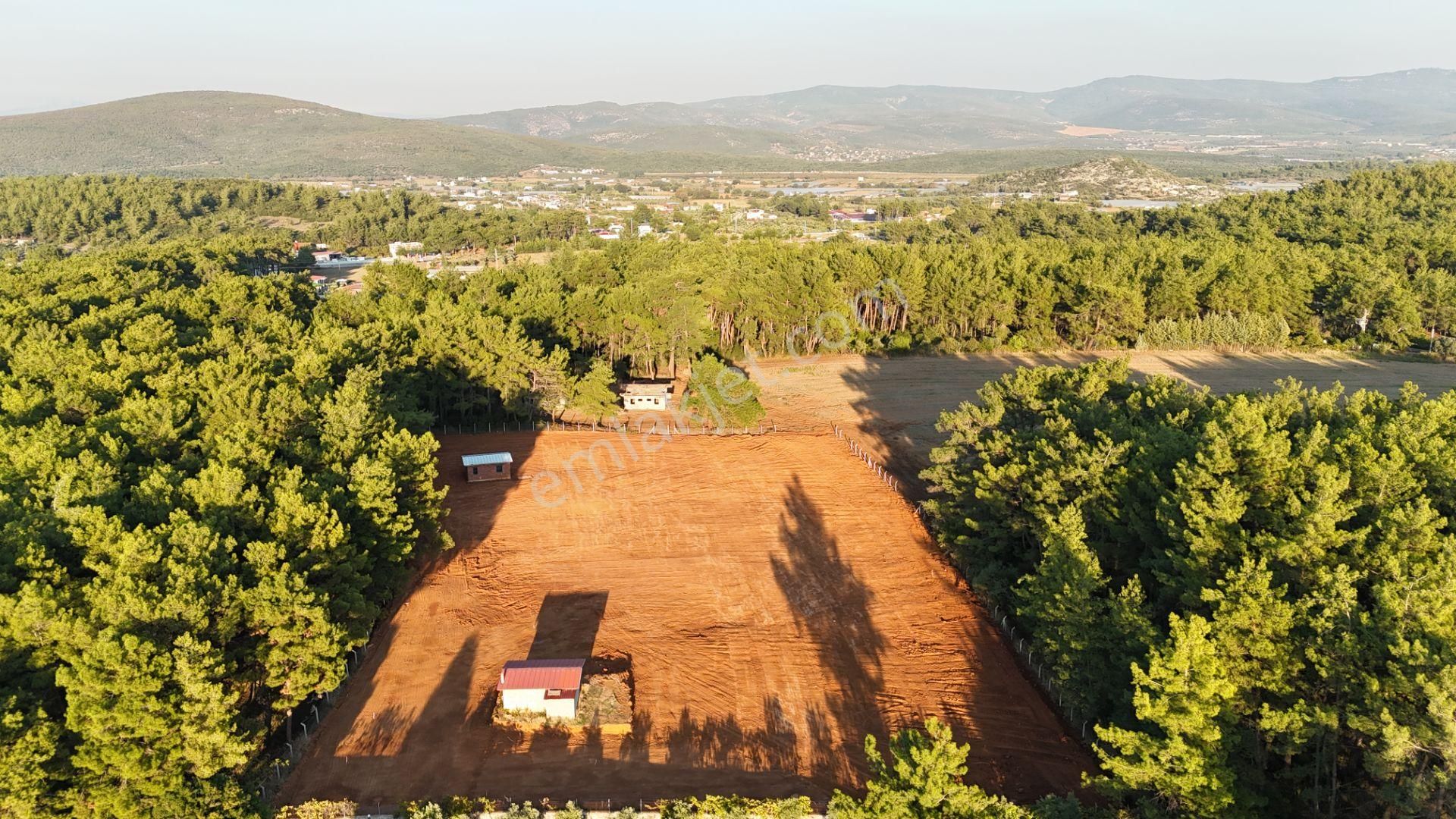 İzmir Ataköy Çamarasında Satılık 210 M2 Elektrik Suyu Olan Harika Bahçeler - Görsel 6