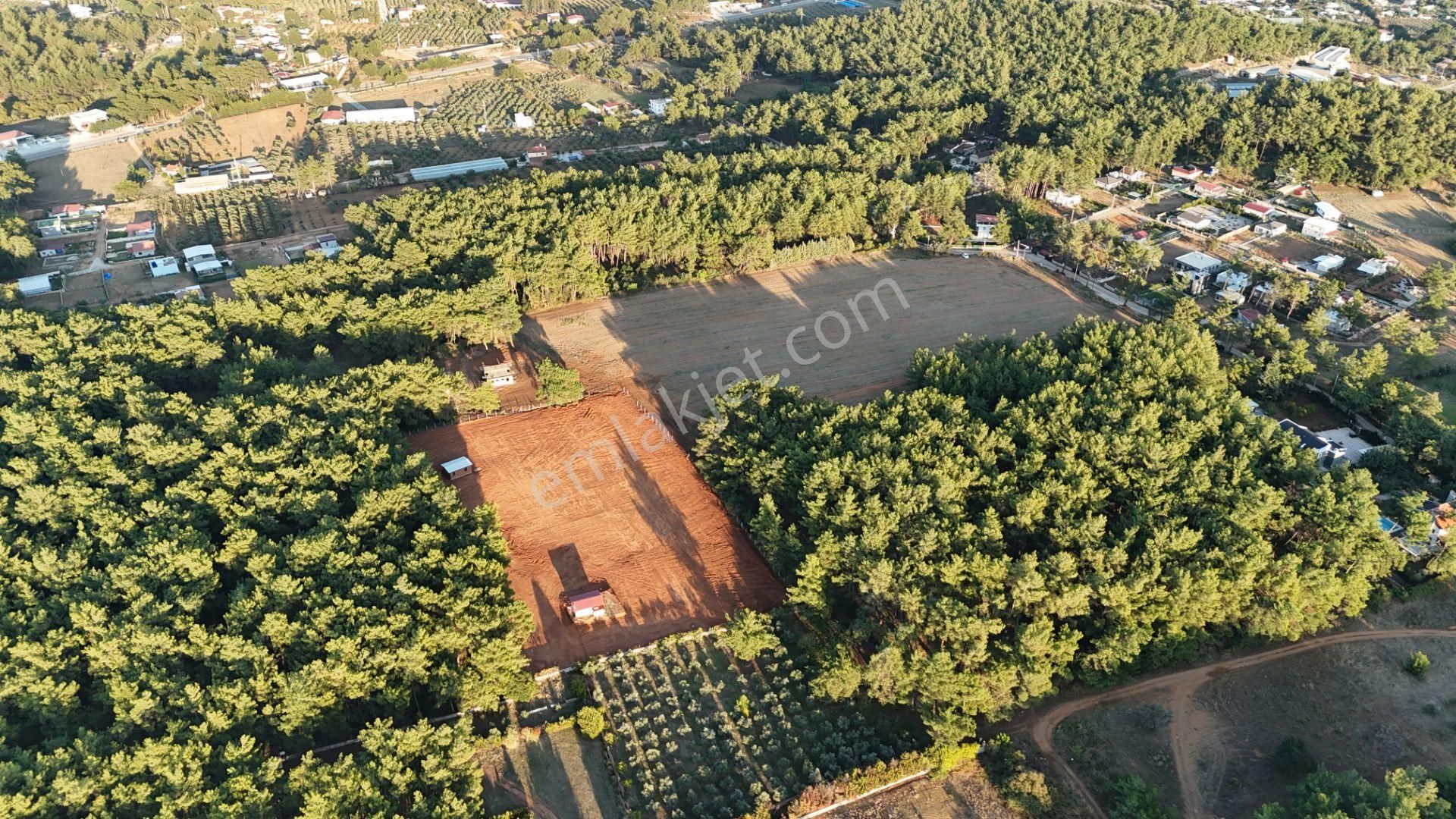 İzmir Ataköy Çamarasında Satılık 210 M2 Elektrik Suyu Olan Harika Bahçeler - Görsel 9