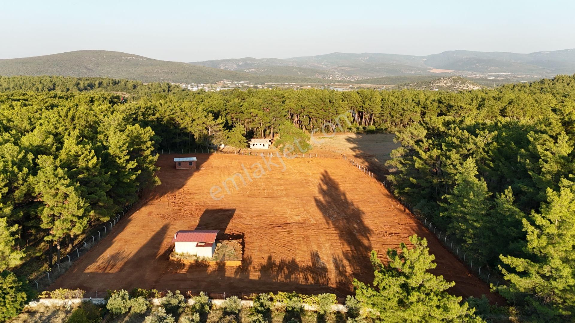 İzmir Ataköy Çamarasında Satılık 210 M2 Elektrik Suyu Olan Harika Bahçeler