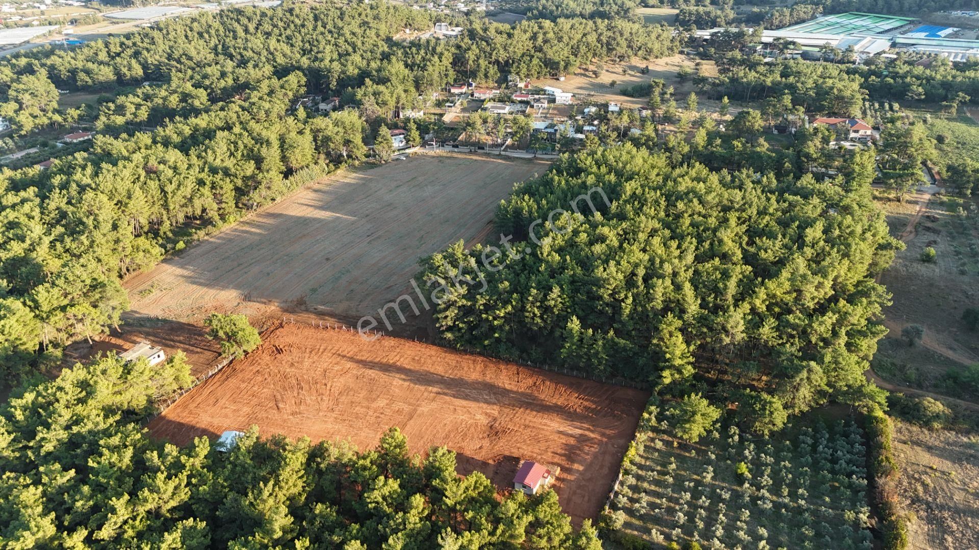 İzmir Ataköy Çamarasında Satılık 210 M2 Elektrik Suyu Olan Harika Bahçeler - Görsel 5