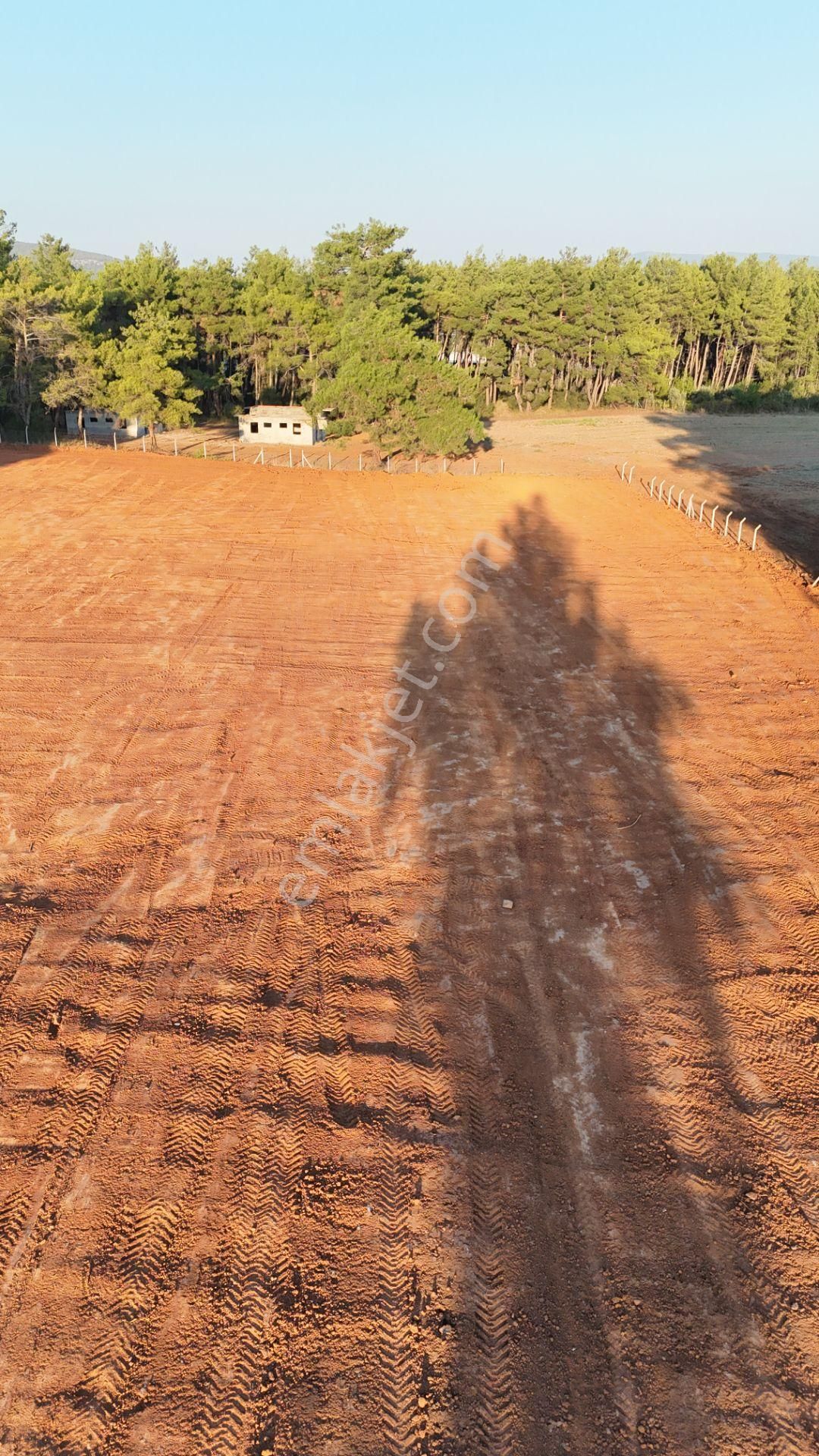 İzmir Ataköy Çamarasında Satılık 210 M2 Elektrik Suyu Olan Harika Bahçeler - Görsel 20