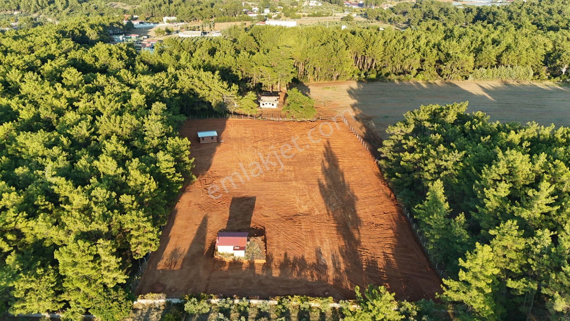 İzmir Ataköy Çamarasında Satılık 210 M2 Elektrik Suyu Olan Harika Bahçeler - Görsel 7