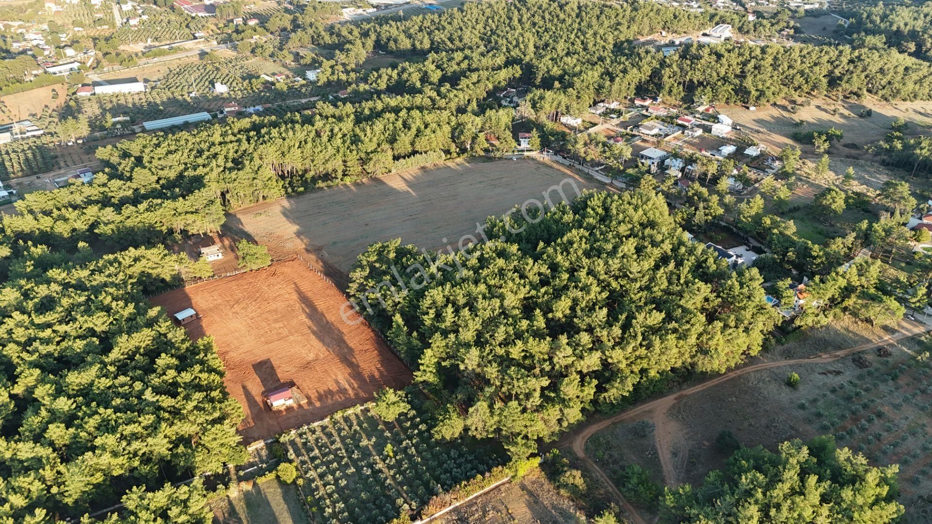 İzmir Ataköy Çamarasında Satılık 210 M2 Elektrik Suyu Olan Harika Bahçeler - Görsel 10