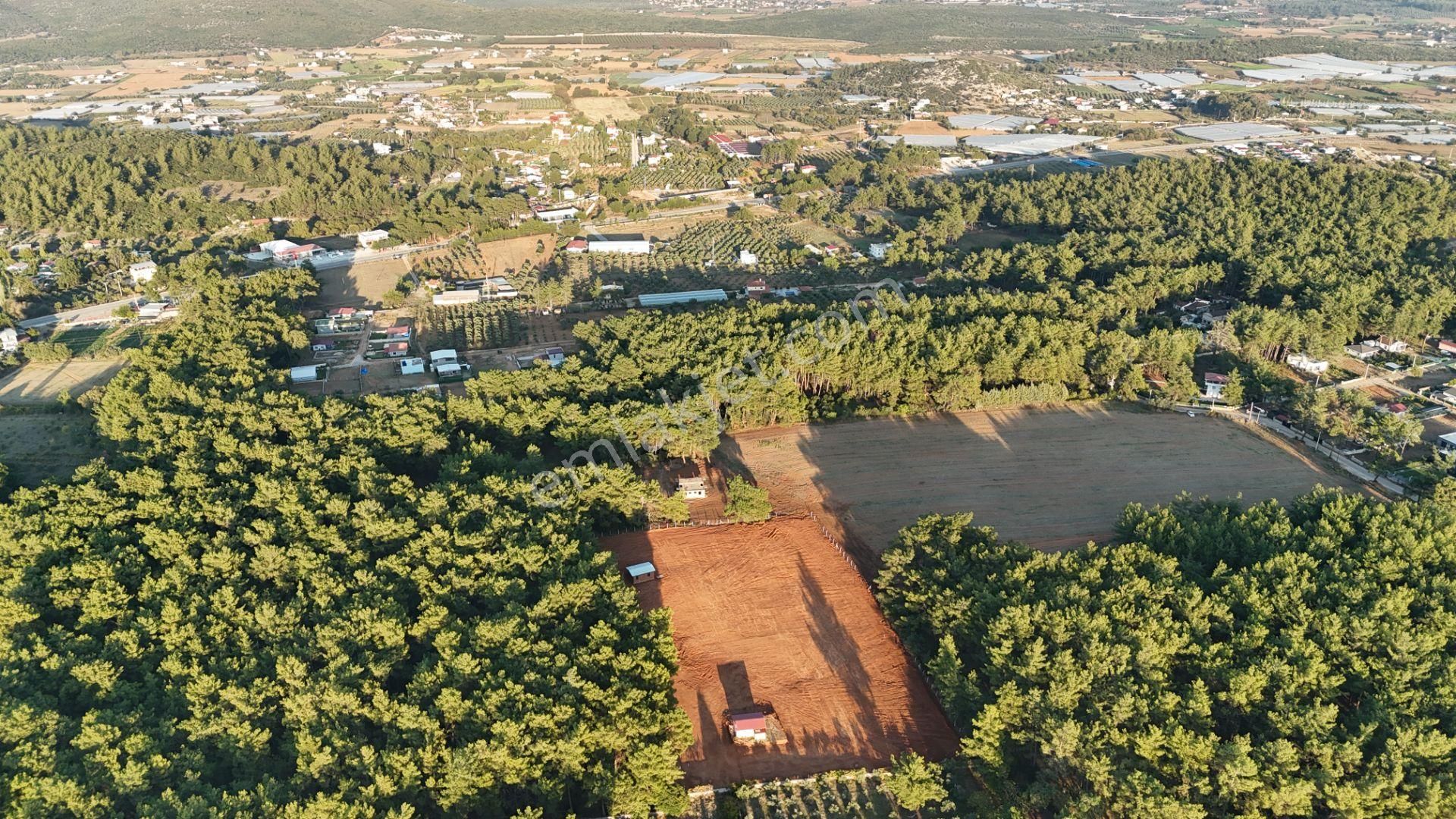 İzmir Ataköy Çamarasında Satılık 210 M2 Elektrik Suyu Olan Harika Bahçeler - Görsel 11