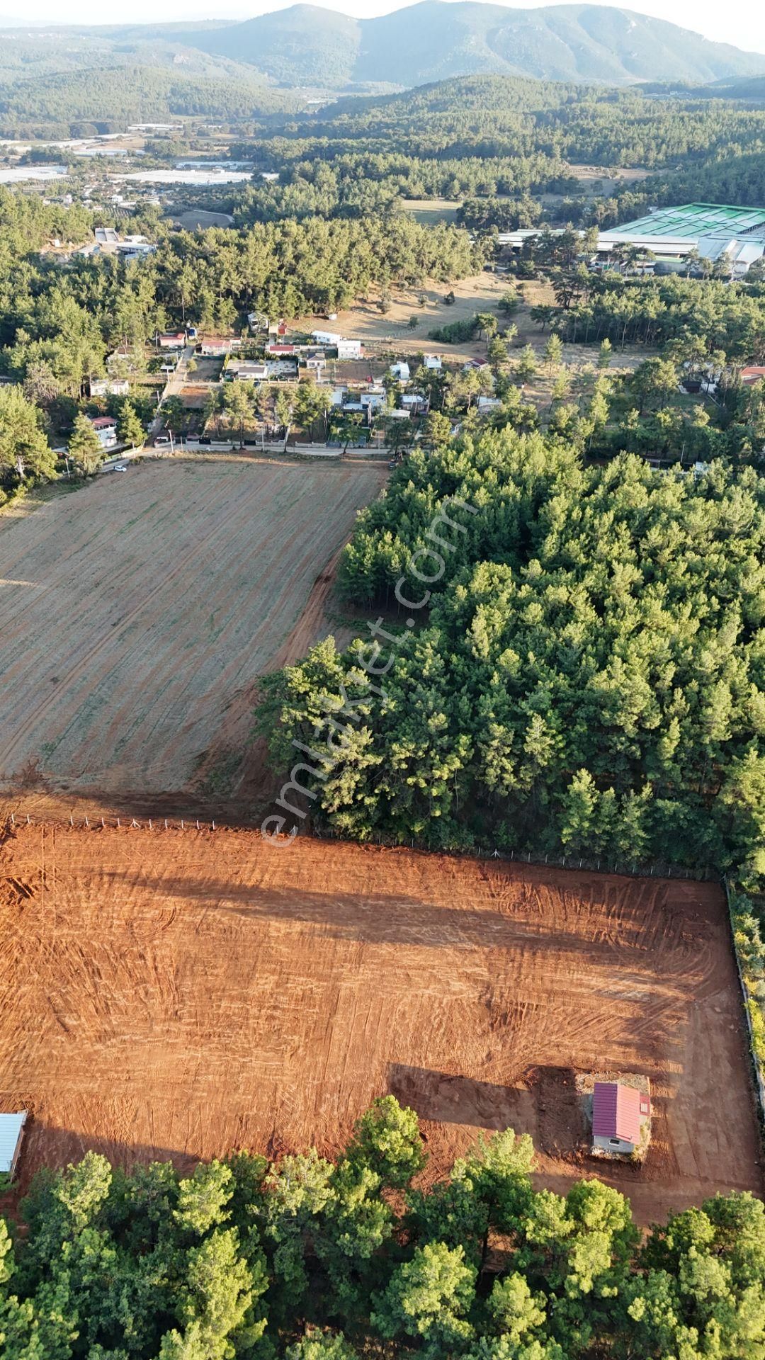 İzmir Ataköy Çamarasında Satılık 210 M2 Elektrik Suyu Olan Harika Bahçeler - Görsel 18