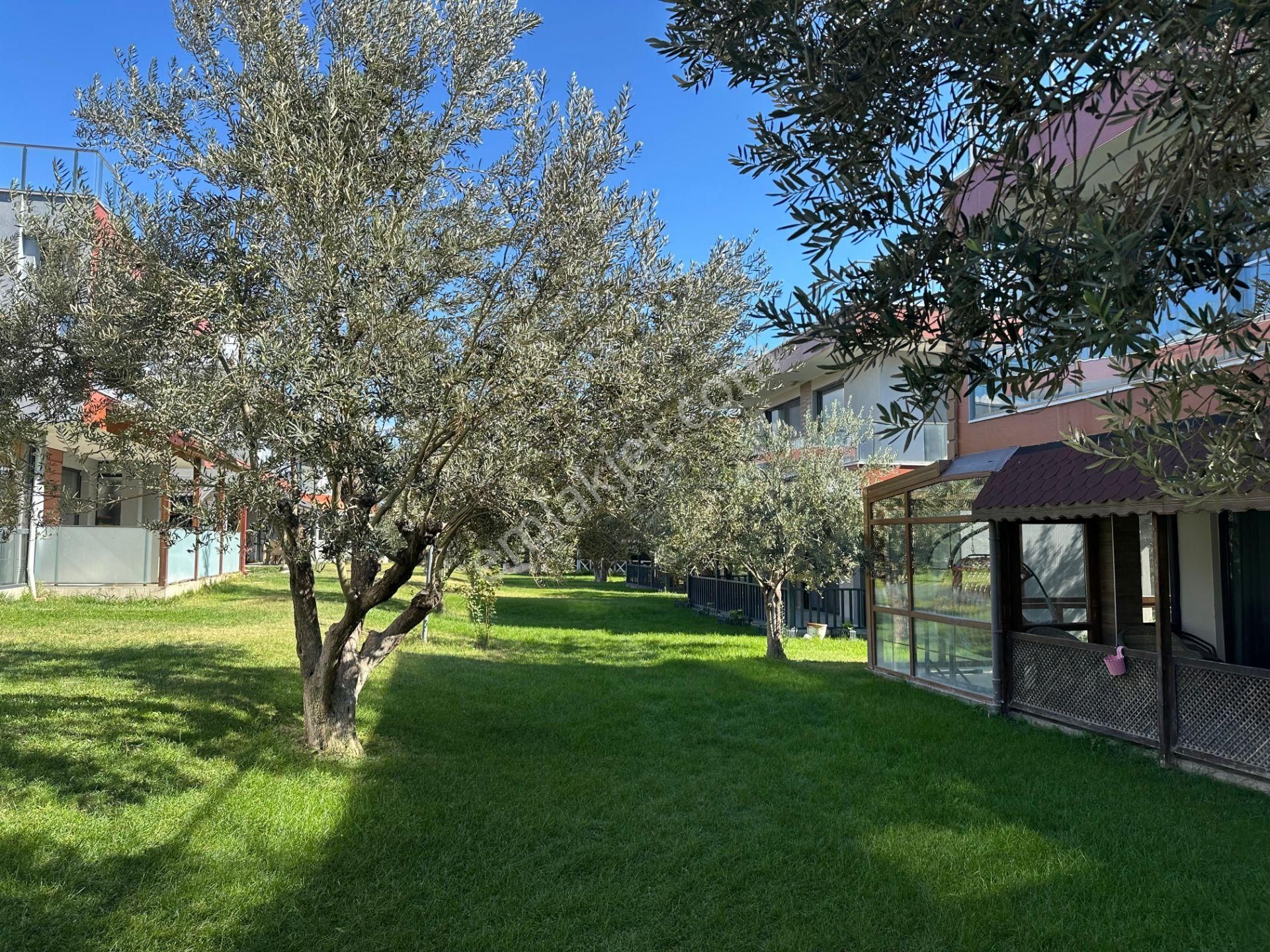 Çanakkale Geyikli'de Deniz Manzaralı, Bahçeli Kiralık Villa! - Görsel 4