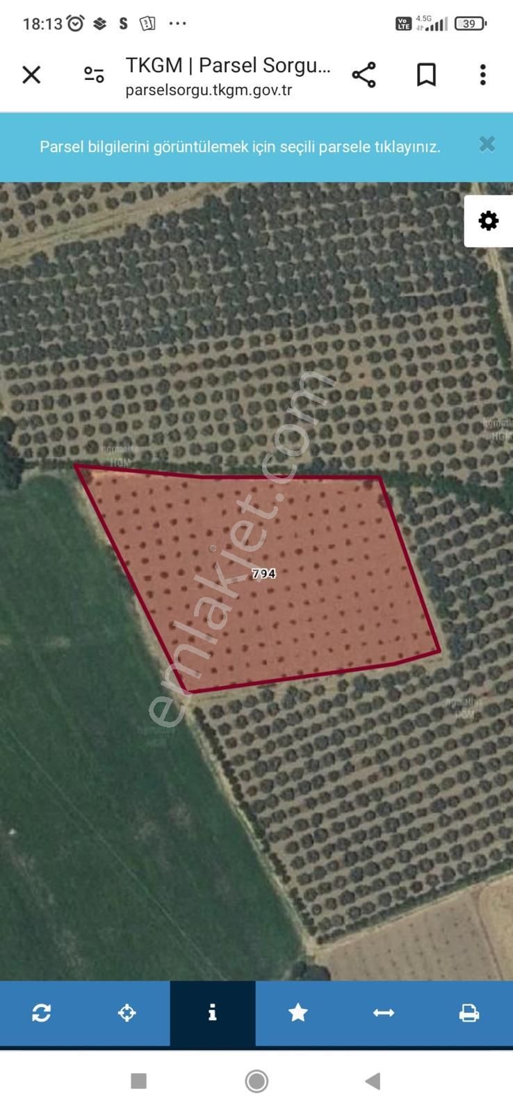 Pak Yapı'dan Satılık Zeytinlik 7 Dönüm - Görsel 12