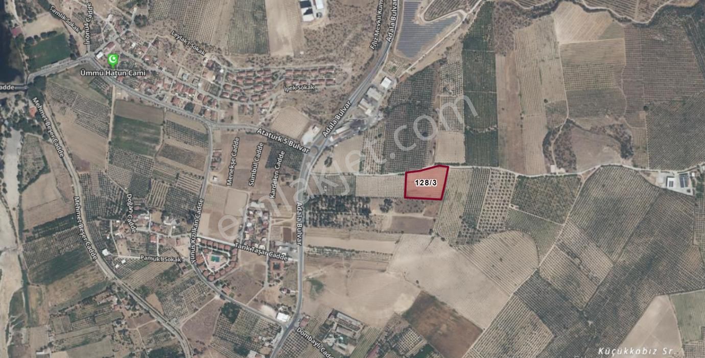 Adala'da 9.983 M2 Satılık Zeytinlik - Görsel 12
