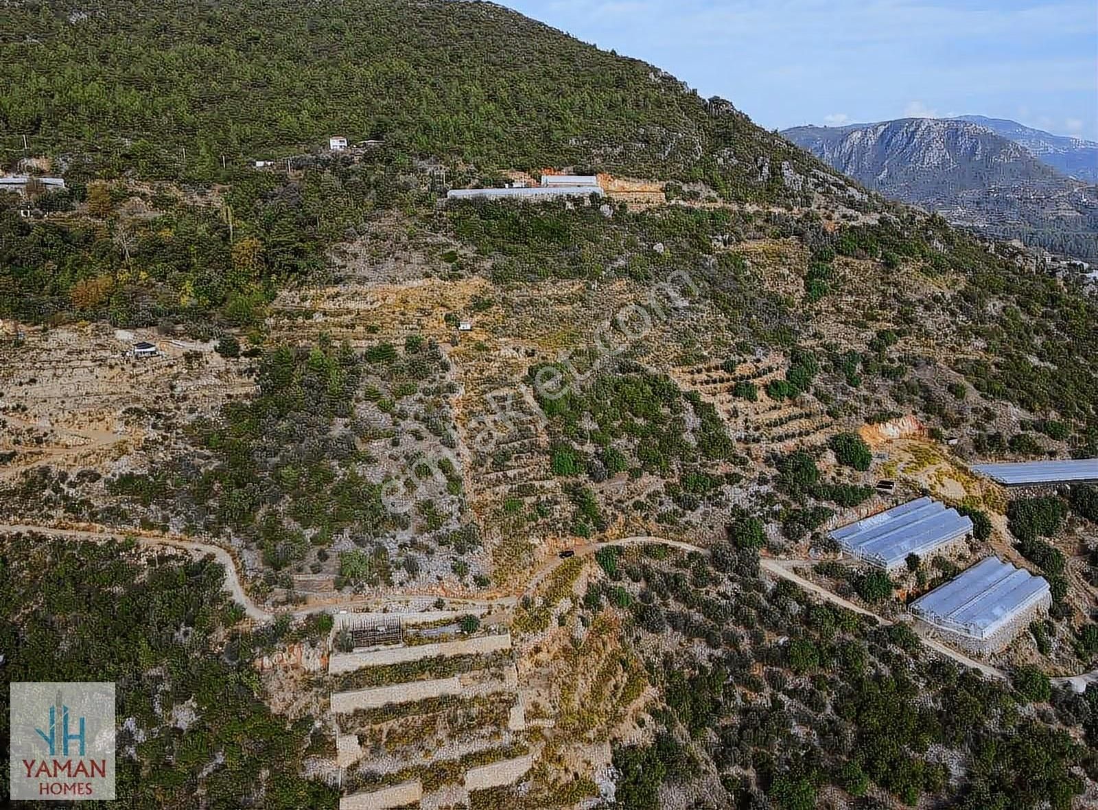 Alanya Yeniköy Mahallesinde Satılık 3260 M2 Tarla - Görsel 3