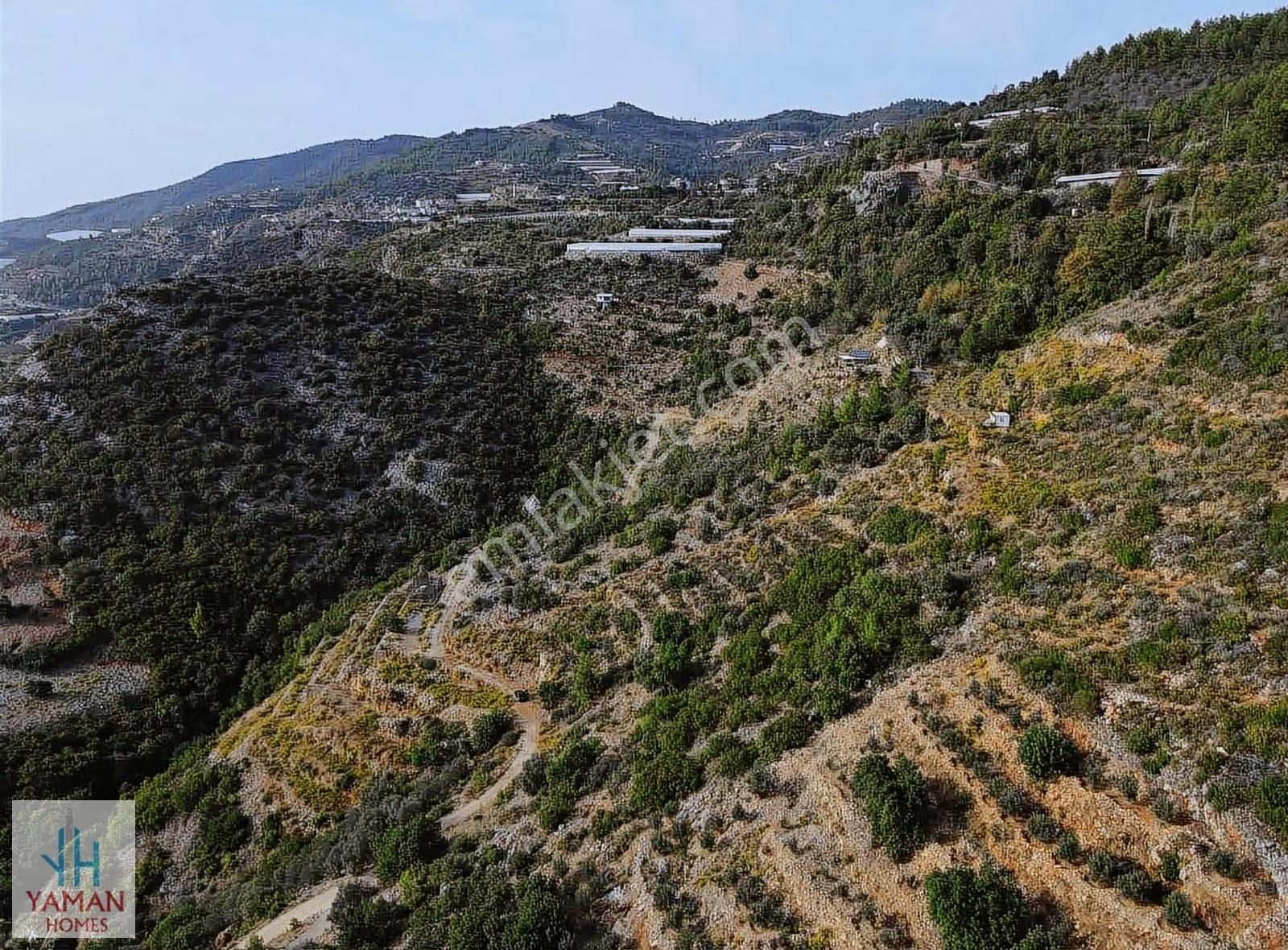 Alanya Yeniköy Mahallesinde Satılık 3260 M2 Tarla - Görsel 2