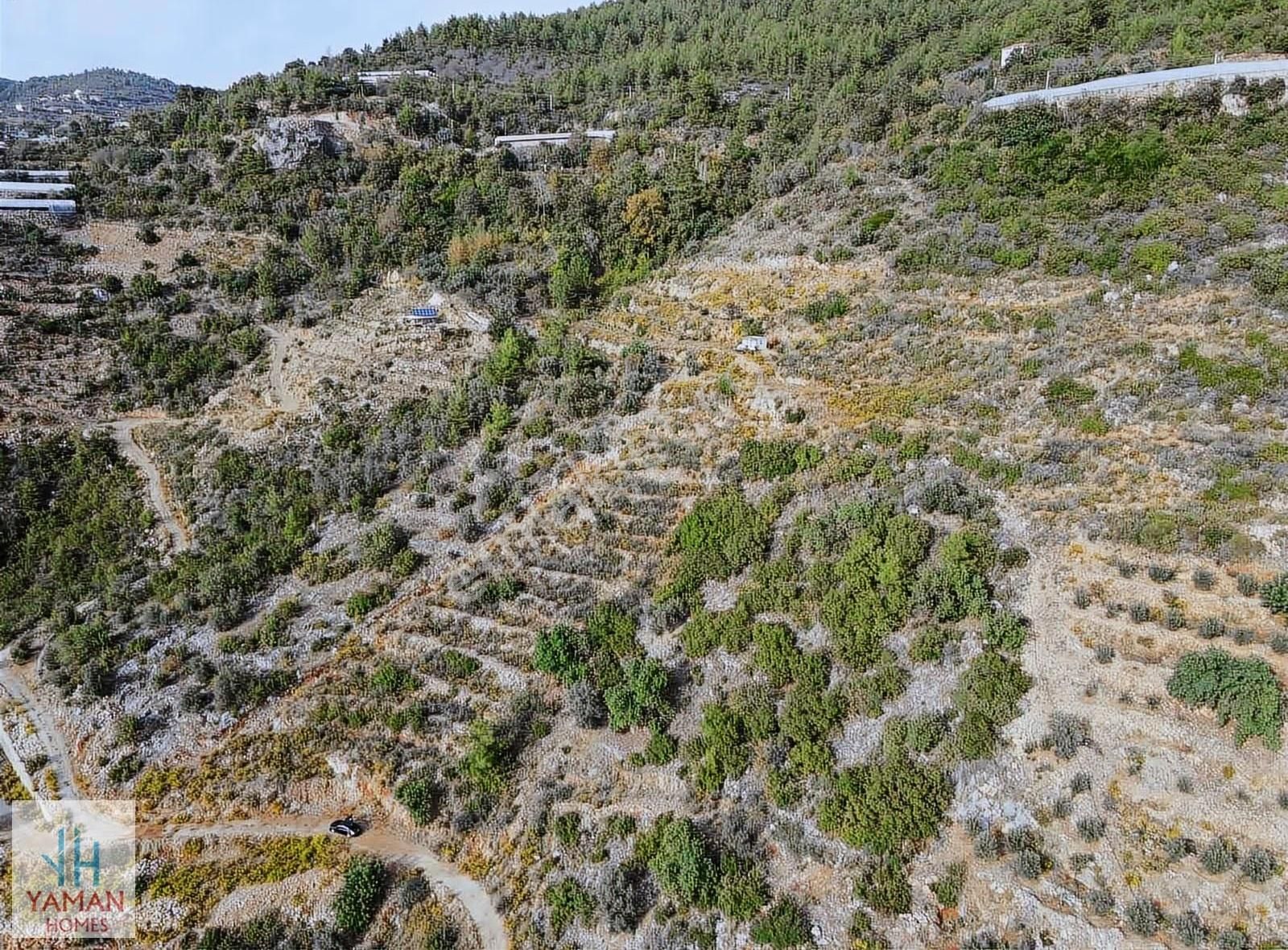 Alanya Yeniköy Mahallesinde Satılık 3260 M2 Tarla - Görsel 5