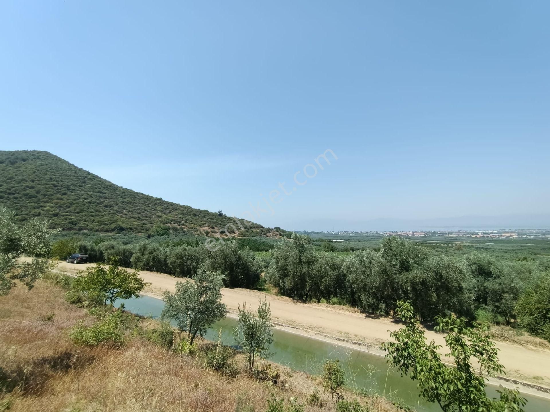 Orhangazi Gemiç'te Büyük Bir Arazim Olsun Diyenlere Tam Aradıkları Satılık Arazi - Görsel 25