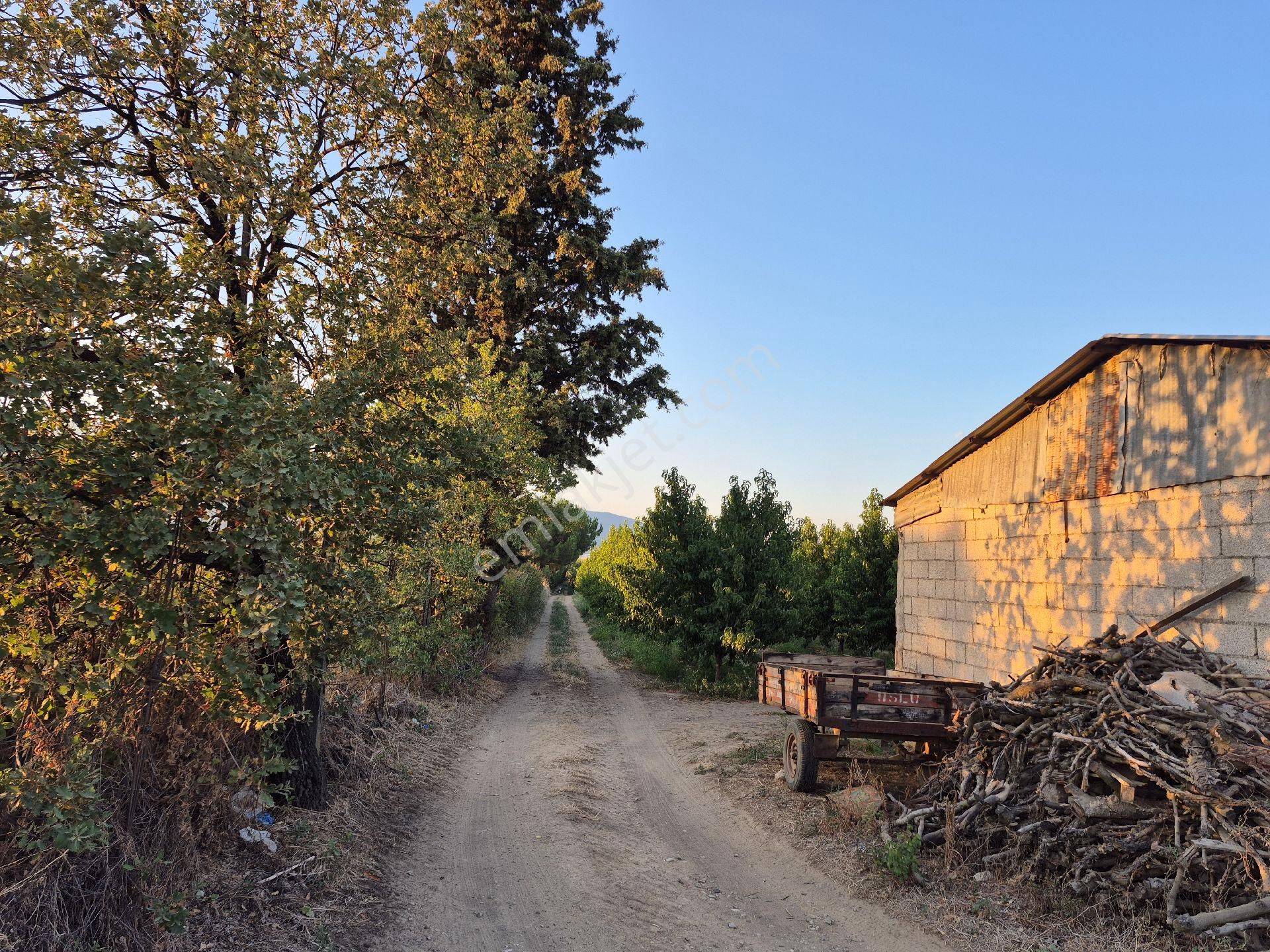 Orhangazi Gemiç'te Büyük Bir Arazim Olsun Diyenlere Tam Aradıkları Satılık Arazi - Görsel 23