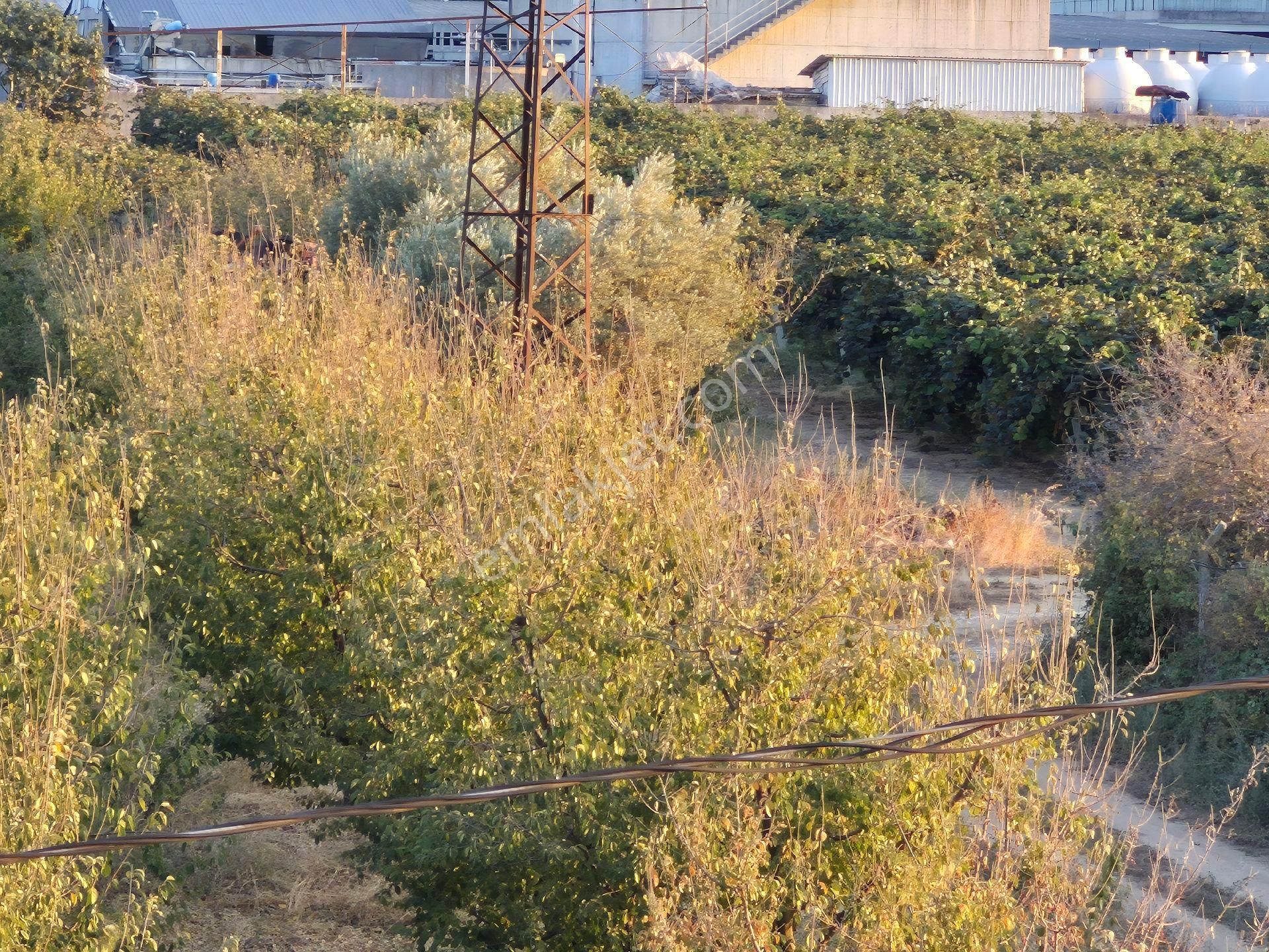 Orhangazi Gemiç'te Büyük Bir Arazim Olsun Diyenlere Tam Aradıkları Satılık Arazi - Görsel 11
