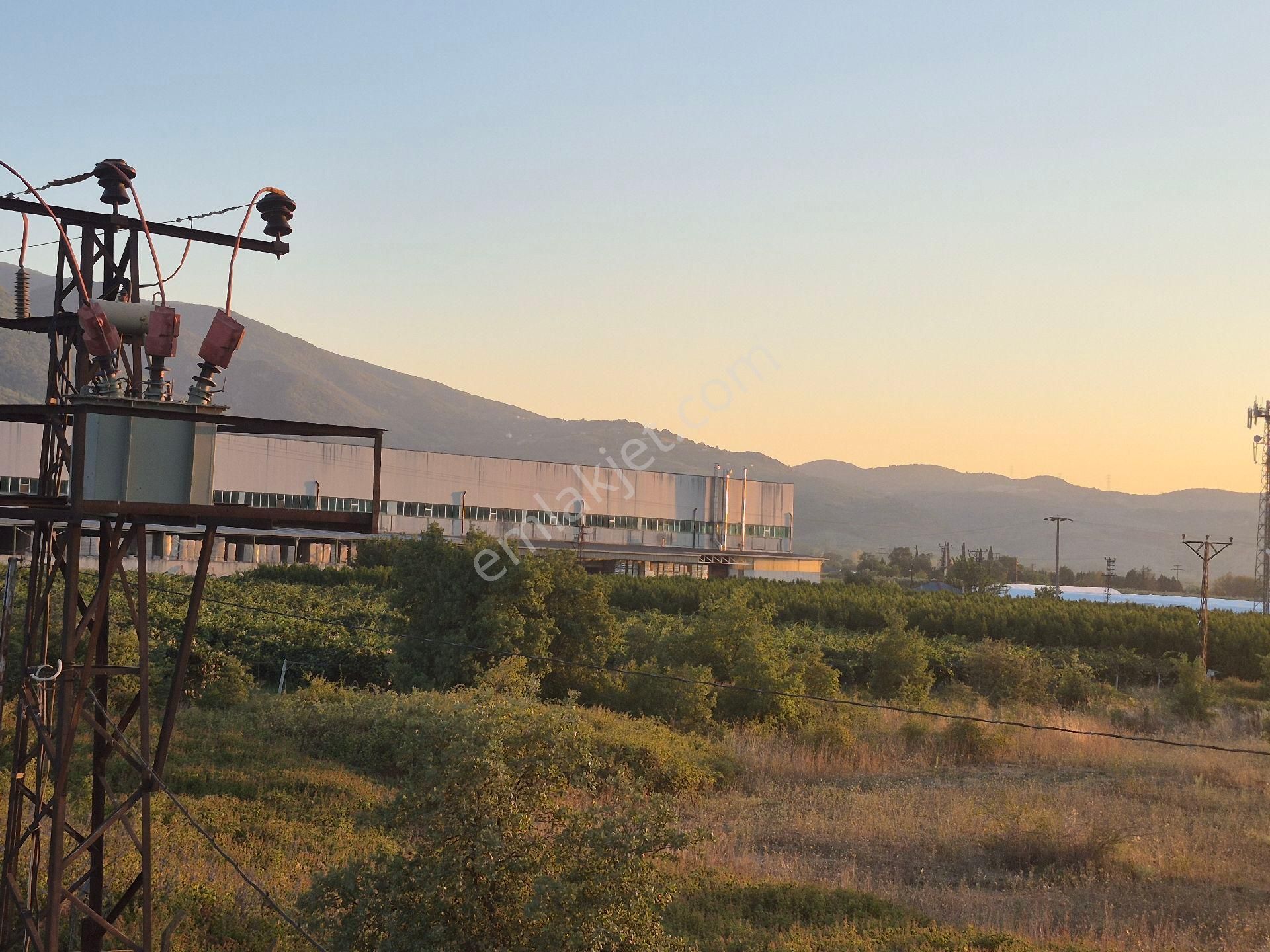 Orhangazi Gemiç'te Büyük Bir Arazim Olsun Diyenlere Tam Aradıkları Satılık Arazi - Görsel 13