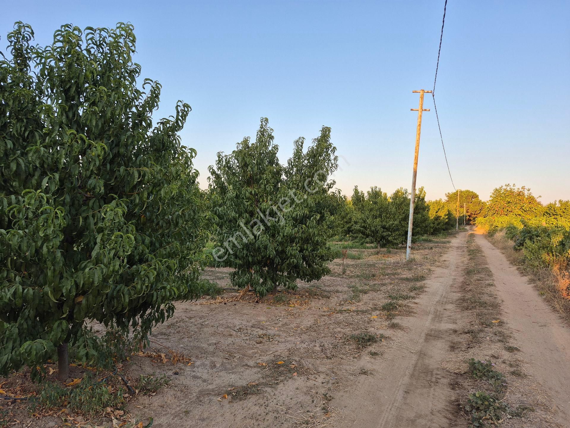 Orhangazi Gemiç'te Büyük Bir Arazim Olsun Diyenlere Tam Aradıkları Satılık Arazi - Görsel 19