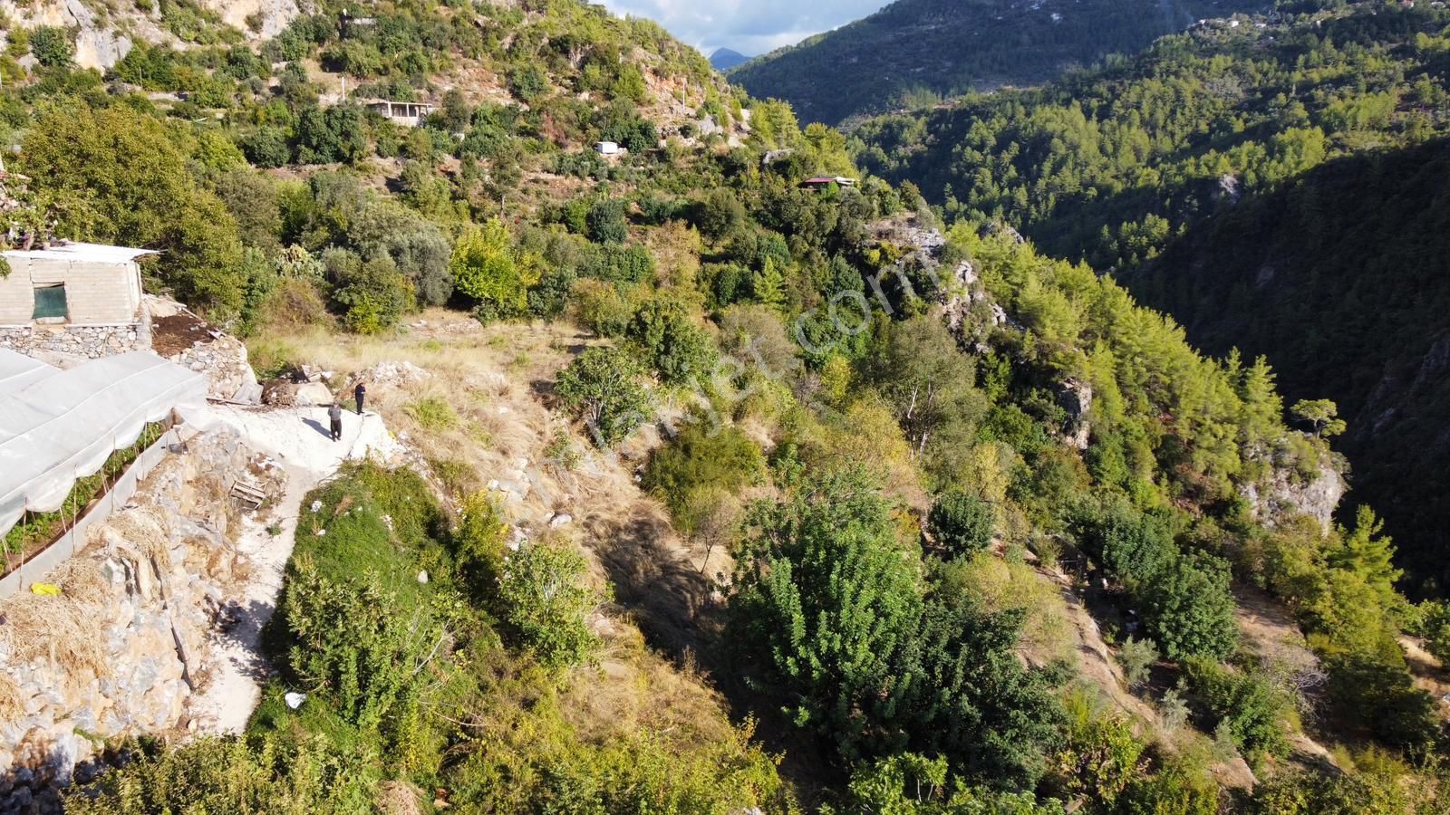 Alanya Süleymanlarda 3.500 M2 Satılık Arazi - Görsel 7