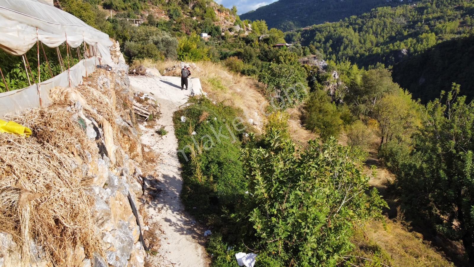 Alanya Süleymanlarda 3.500 M2 Satılık Arazi - Görsel 10