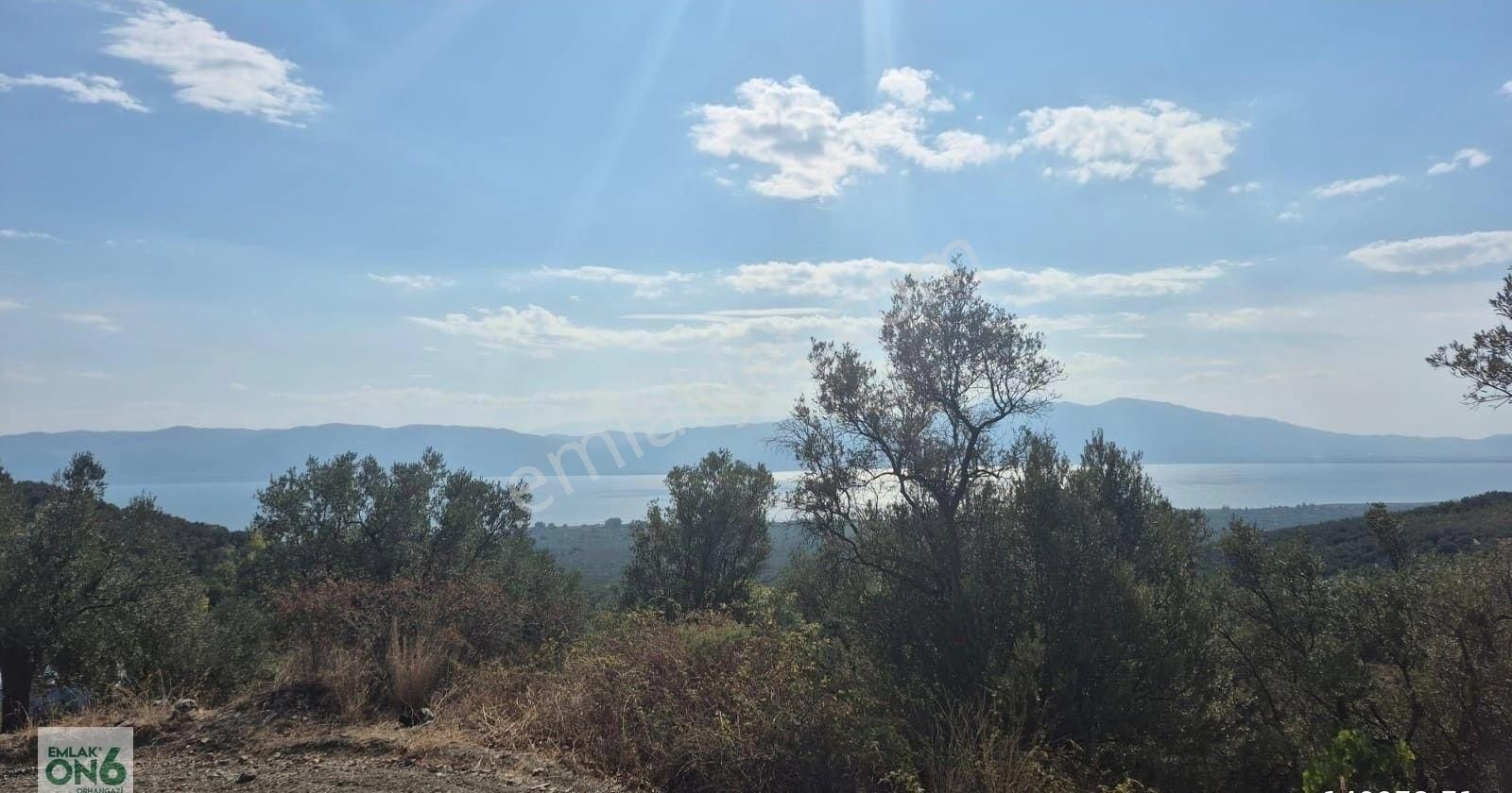 İçerisinde Ev Sulama Havuzu Bulunan 3 Adet Tapudan Oluşan Zeytinlik Ve Tarla