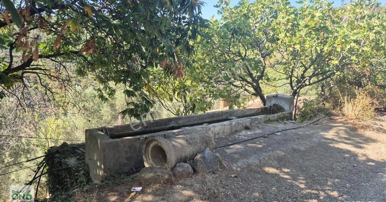 İçerisinde Ev Sulama Havuzu Bulunan 3 Adet Tapudan Oluşan Zeytinlik Ve Tarla - Görsel 6