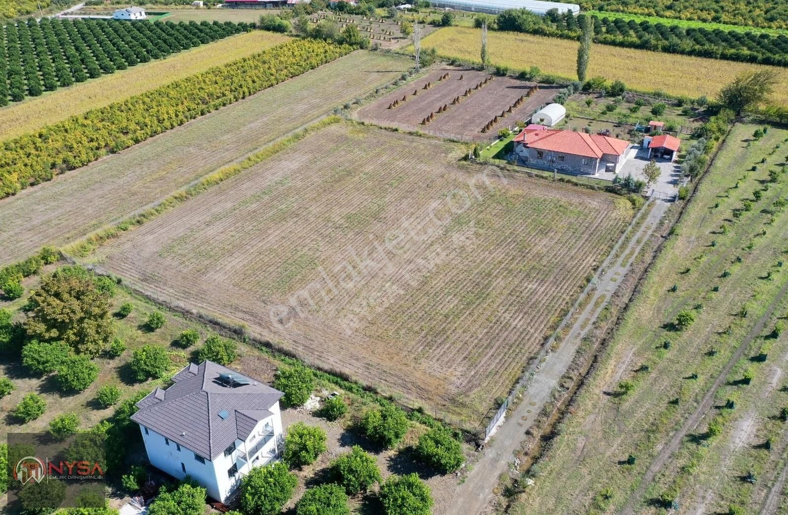 Nysa Emlak'tan 7000m2 Satılık Hisseli Tarla - Görsel 5