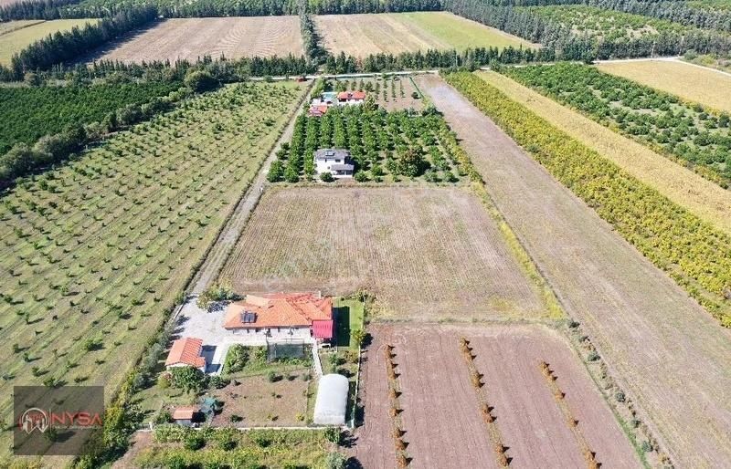 Nysa Emlak'tan 7000m2 Satılık Hisseli Tarla - Görsel 6