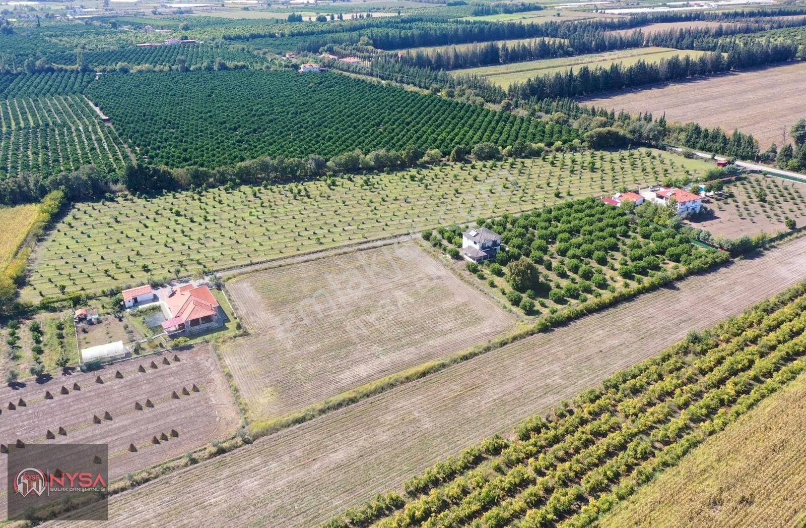 Nysa Emlak'tan 7000m2 Satılık Hisseli Tarla - Görsel 13