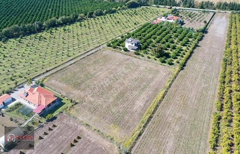 Nysa Emlak'tan 7000m2 Satılık Hisseli Tarla - Görsel 10
