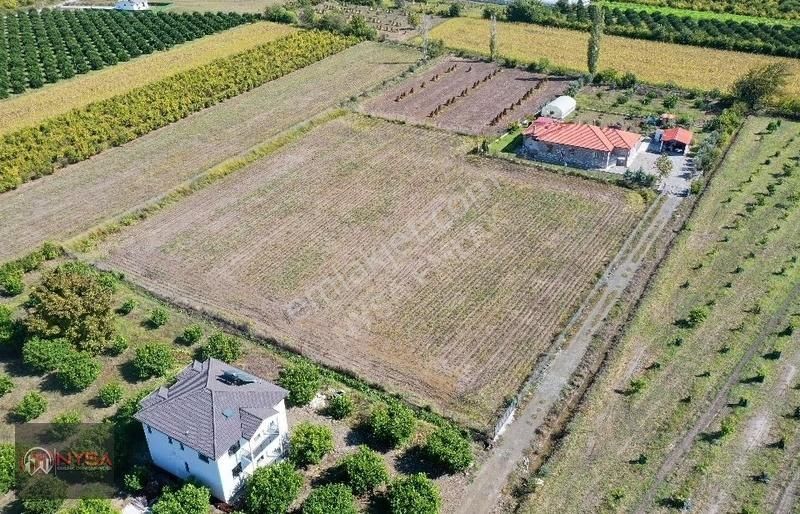 Nysa Emlak'tan 7000m2 Satılık Hisseli Tarla - Görsel 4