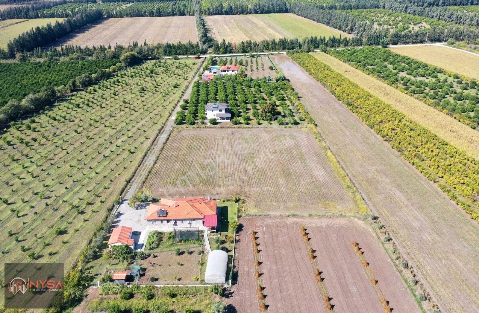 Nysa Emlak'tan 7000m2 Satılık Hisseli Tarla