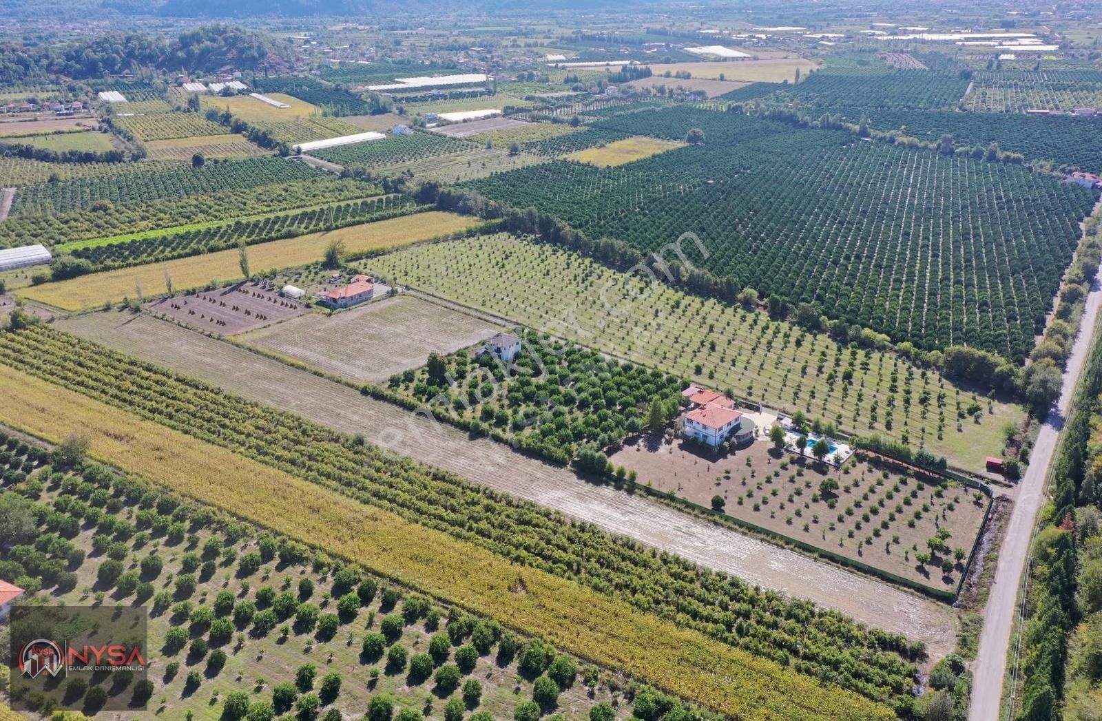 Nysa Emlak'tan 7000m2 Satılık Hisseli Tarla - Görsel 3