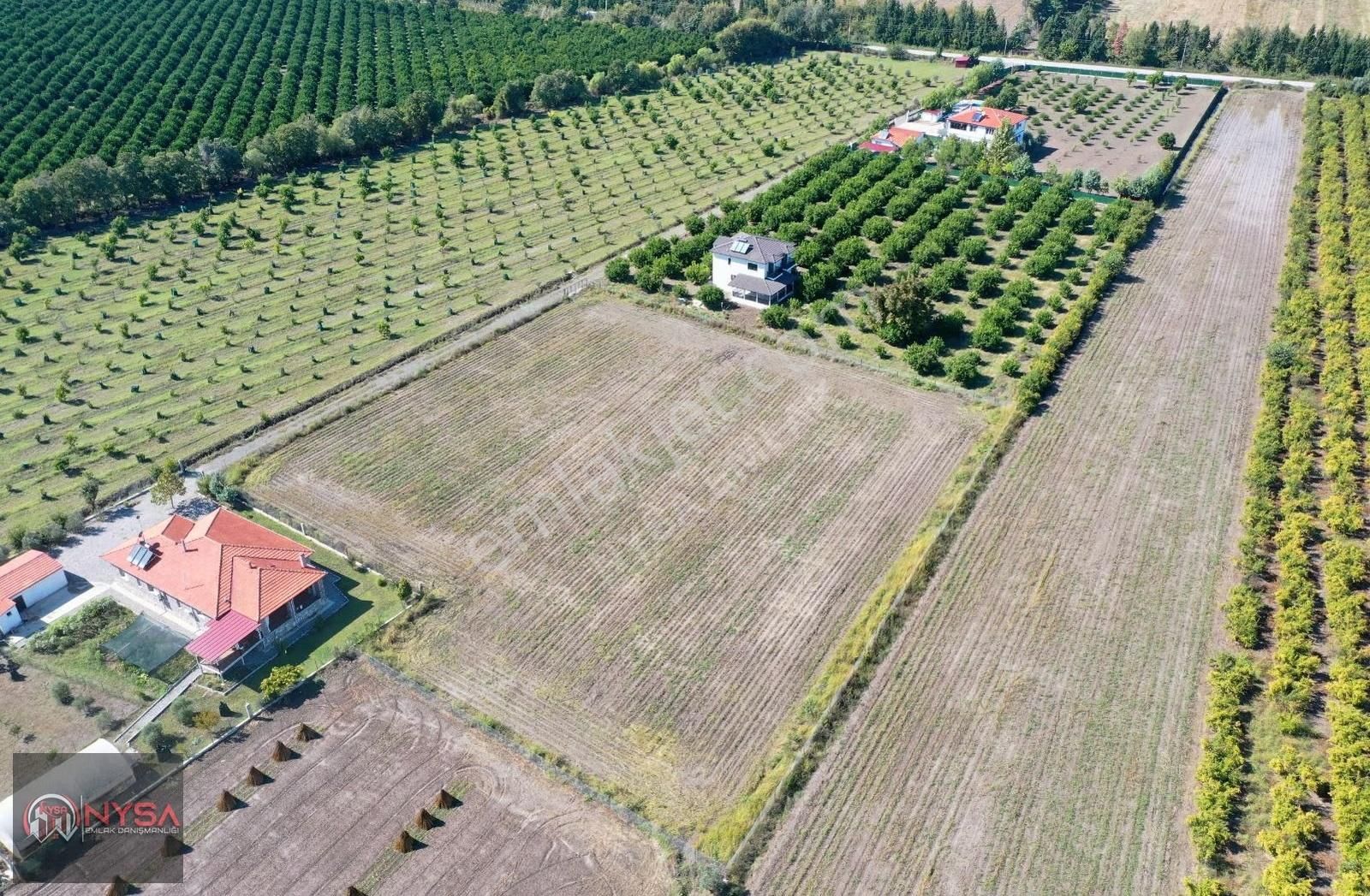 Nysa Emlak'tan 7000m2 Satılık Hisseli Tarla - Görsel 2