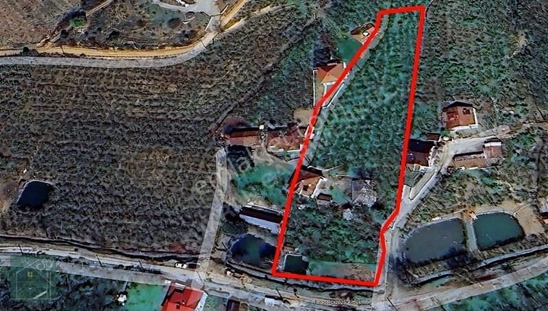 Şükran Gayrimenkul'den Hendekte Satılık Arazi Ve Havuzlu Ev - Görsel 3