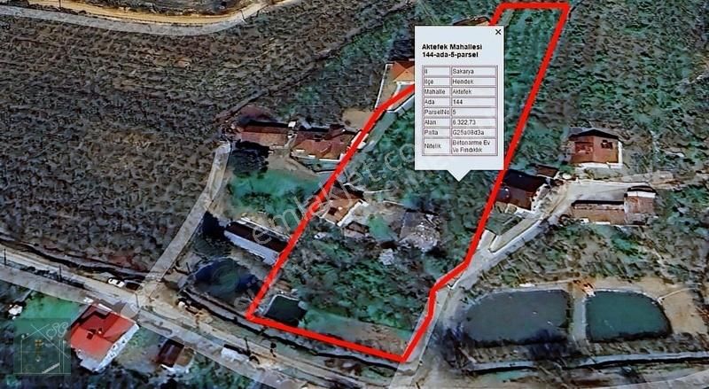 Şükran Gayrimenkul'den Hendekte Satılık Arazi Ve Havuzlu Ev - Görsel 9