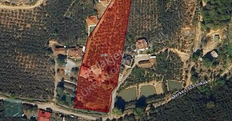 Şükran Gayrimenkul'den Hendekte Satılık Arazi Ve Havuzlu Ev - Görsel 4