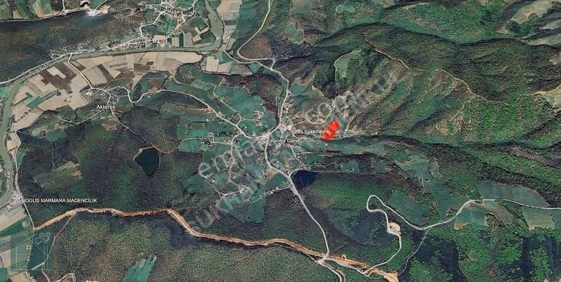 Şükran Gayrimenkul'den Hendekte Satılık Arazi Ve Havuzlu Ev - Görsel 5