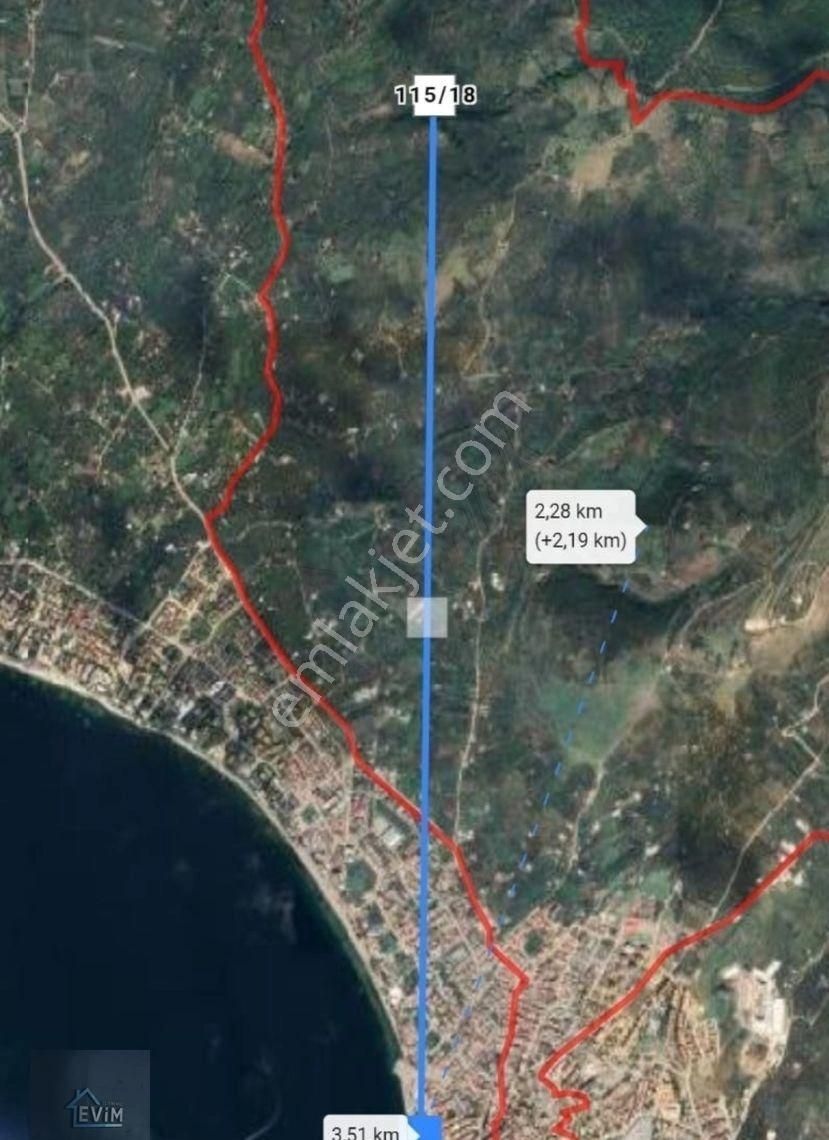 Evim Gayrimenkul 'den Satılık Zeytinlik - Görsel 4