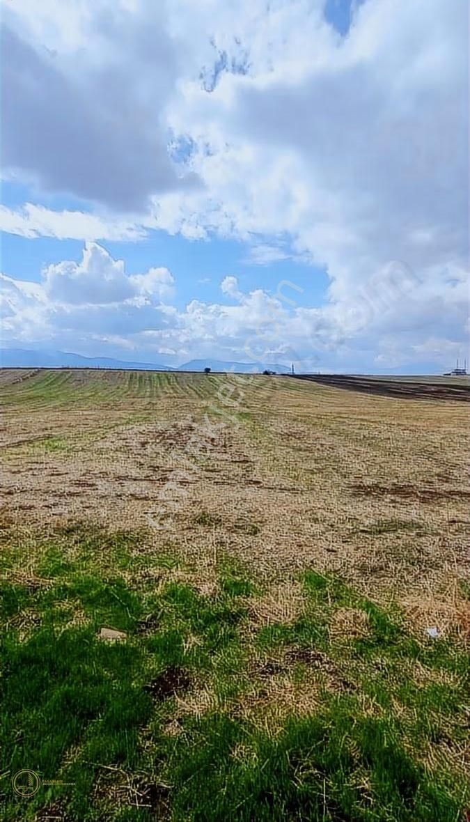 Coldwell Banker Town'dan Dev Yatırımlık Arazi ! - Görsel 2