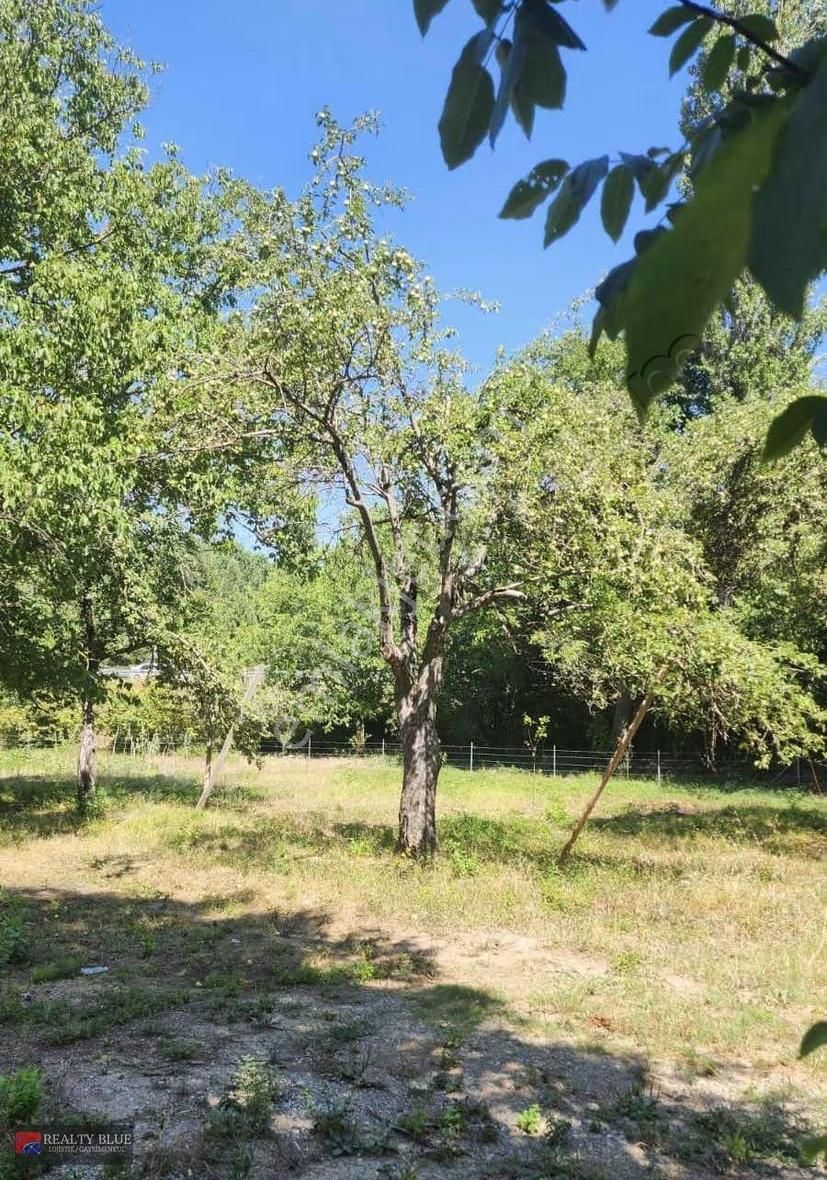 Derince De Fırsat Tarla - Görsel 2