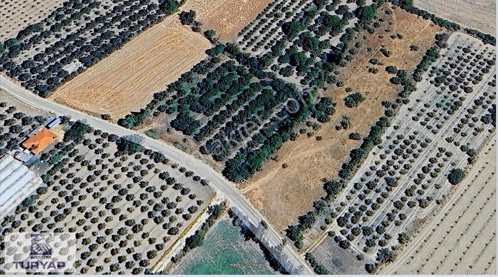 Antalya Elmalı Akçay -armutlu Yoluna Sıfır Satılık 4500 M2 Bahçe - Görsel 5