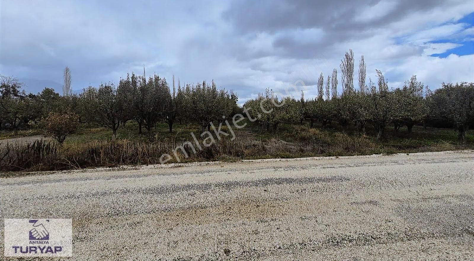 Antalya Elmalı Akçay -armutlu Yoluna Sıfır Satılık 4500 M2 Bahçe - Görsel 3