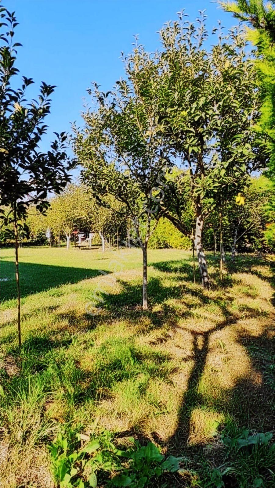 Çatalca İzzettin De Satılık Villa - Görsel 11