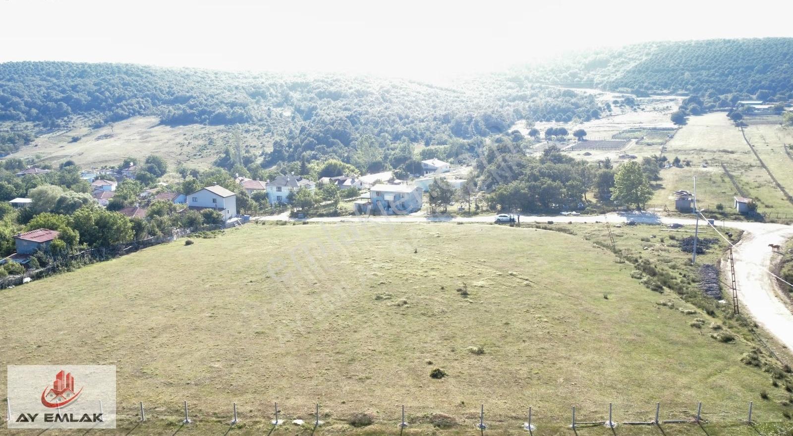 Ay Emlak'tan Armutlu Mecidiyeköy De Yolu Olan 1.187 M2 Tarla - Görsel 5