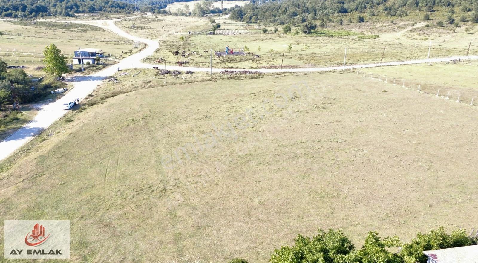 Ay Emlak'tan Armutlu Mecidiyeköy De Yolu Olan 1.187 M2 Tarla - Görsel 2