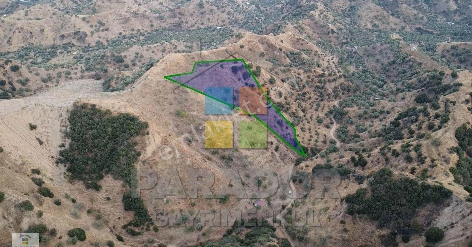 Aydın Nazilli Dereağzı Mahallesinde Satılık 8638 M² Tarla - Görsel 3