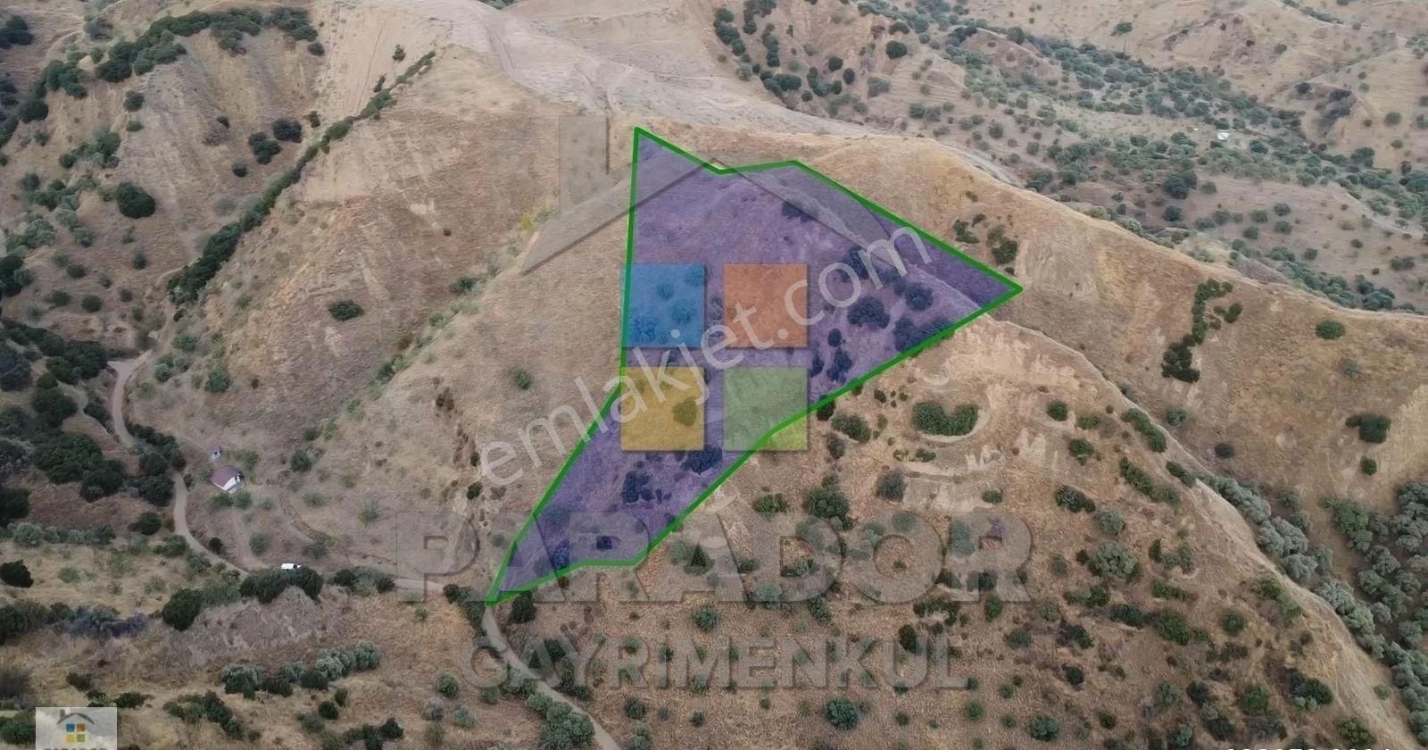 Aydın Nazilli Dereağzı Mahallesinde Satılık 8638 M² Tarla - Görsel 7