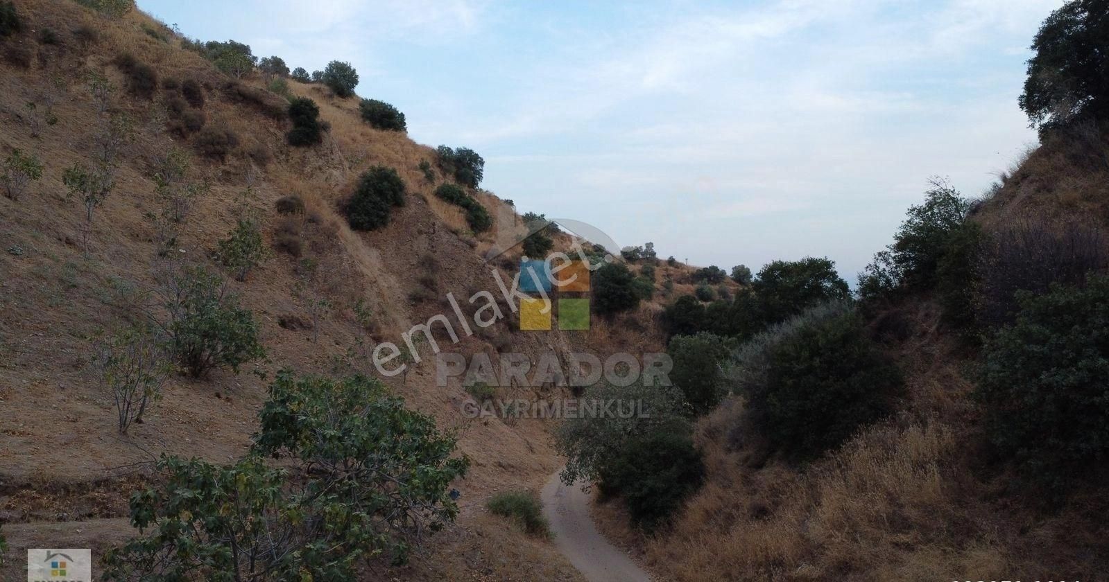 Aydın Nazilli Dereağzı Mahallesinde Satılık 8638 M² Tarla - Görsel 14