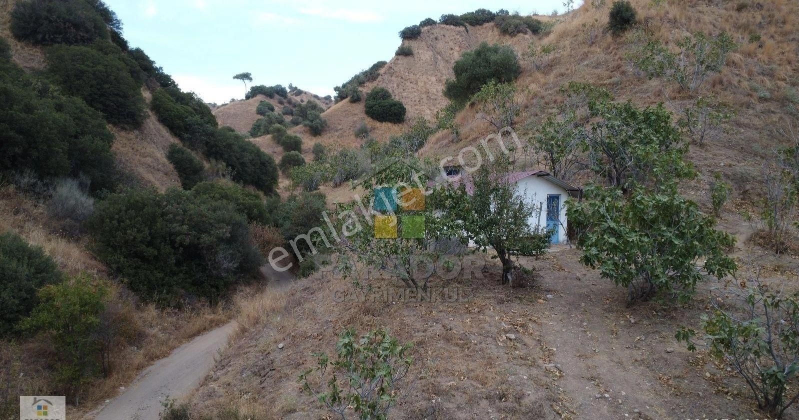 Aydın Nazilli Dereağzı Mahallesinde Satılık 8638 M² Tarla - Görsel 4