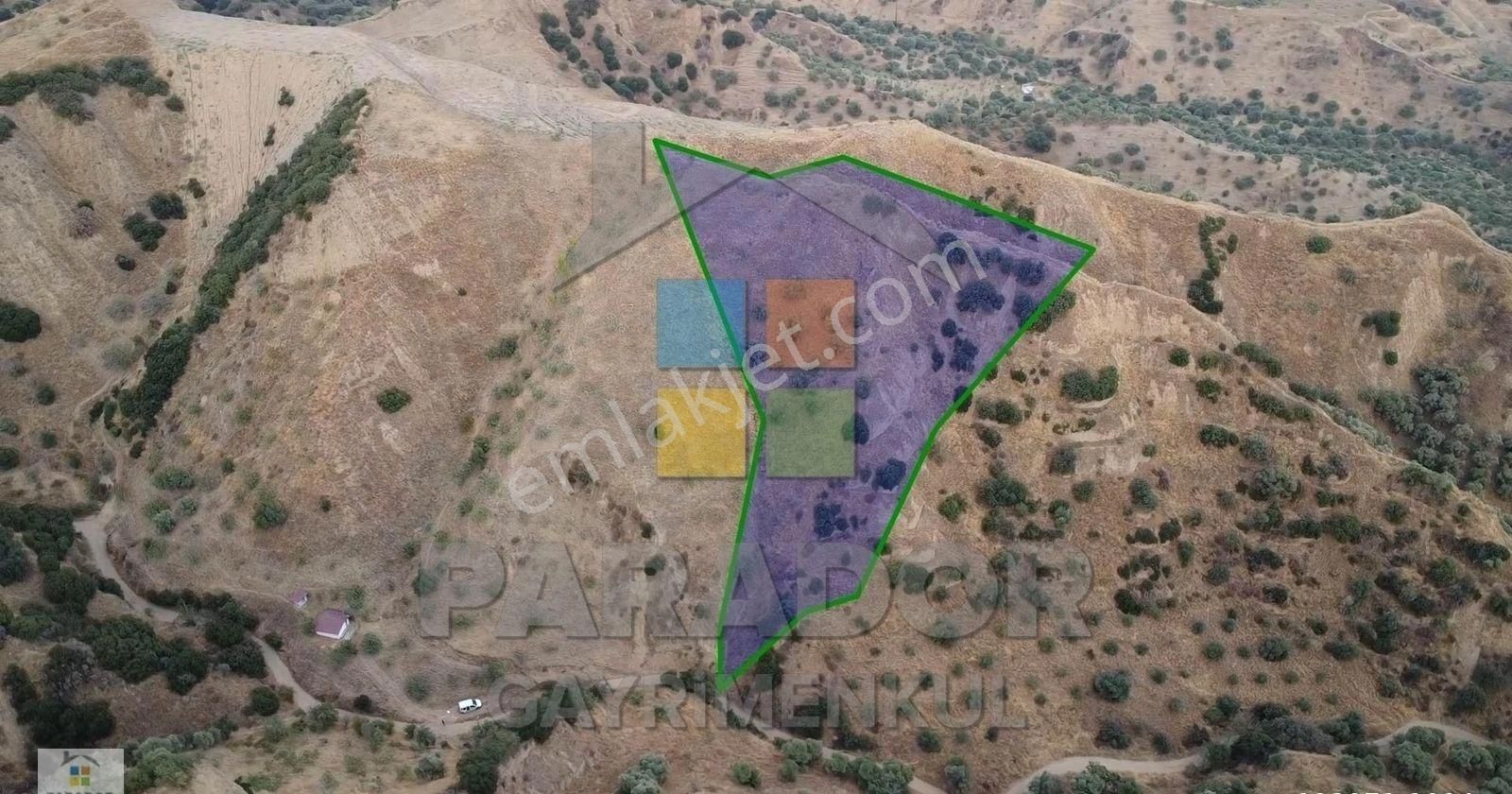 Aydın Nazilli Dereağzı Mahallesinde Satılık 8638 M² Tarla - Görsel 16